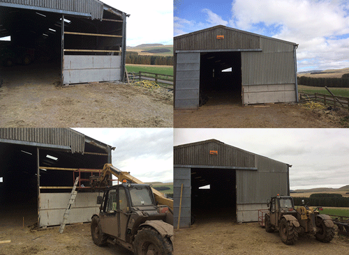 Shed Repair work near Jedburgh